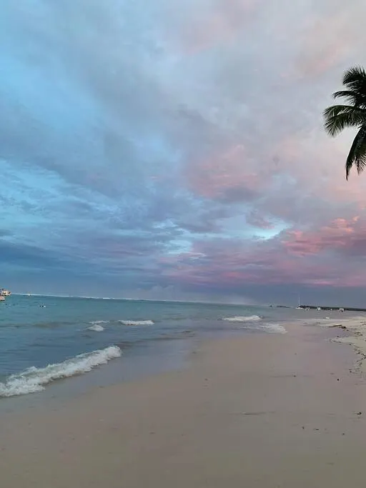 Stanza Mare Ocean View Huge Pool Beach Front Punta Cana Den Dominikanske Republik